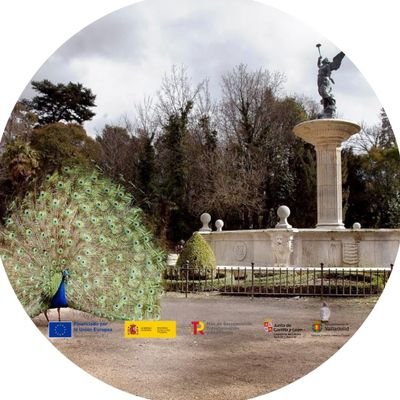 Turismo Valladolid's profile picture