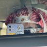 م profil fotoğrafı