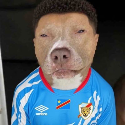 osowxvyy's profile picture