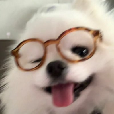 thisis_tong_'s profile picture