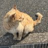 Profilbild von あいうえお