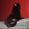 Le nom ne peut pas être vide.'s profile picture