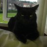 Andy Jackson profil fotoğrafı