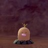 makoto🤡's profile picture