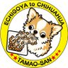 Profilbild von えちごやとちわわ