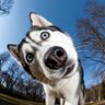 Profilbild von kalu