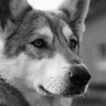 三山等 profil fotoğrafı
