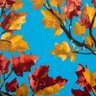 Profilbild von BlueOchre1710