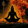 Profilbild von Jadhav Shivlila