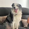 Фото профиля Post Nat
