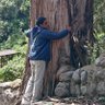 Carlos Mora. profil fotoğrafı