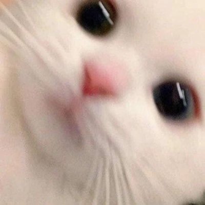 ヒトミン's profile picture