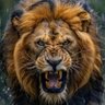 حروف وكلمات profil fotoğrafı
