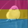 Yourfriendlygamer's profile picture