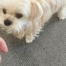 Sue 的头像