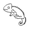 Mail's profile picture