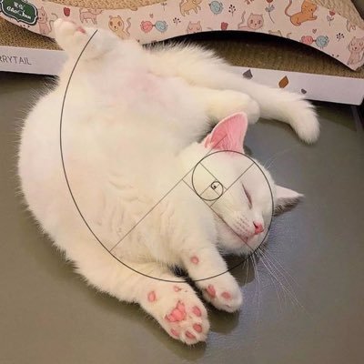ViralScroll's profile picture