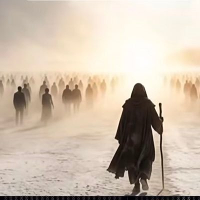 lojistik_sd's profile picture