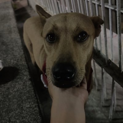 K's profile picture