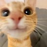 Maliq's profile picture