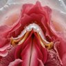 Mary Fow profil fotoğrafı