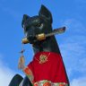 Vladimir's profile picture