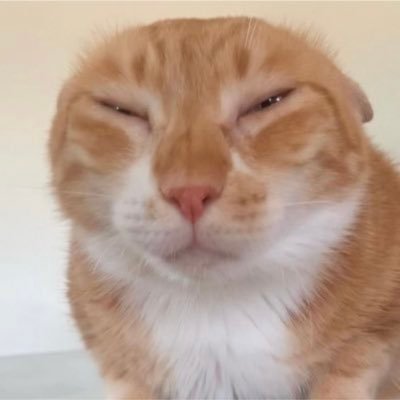 뱐...'s profile picture