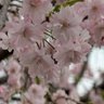 Фото профиля 神野尊仁