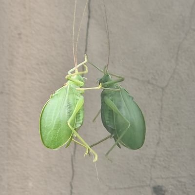 MyKingdom1111's profile picture