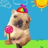 Perro daun profil fotoğrafı