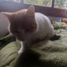 Anthony ❤️‍🔥 profil fotoğrafı