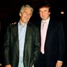 Donnie Trump profil fotoğrafı