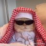 Profilbild von Abdiwahab Nagiile