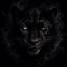 Profilbild von Sam