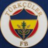 Profilbild von Fenerbahçeli Türkçüler