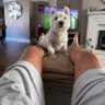 Johno's profile picture