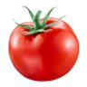Tomato Time 的头像