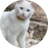ر's profile picture