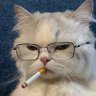 duarte 的头像