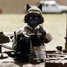 Mongo the Wolf profil fotoğrafı