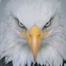 Фото профиля Alex Baldwyn