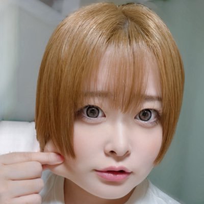 とばり🍼🐹休養中's profile picture