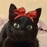 Trago Verdades's profile picture