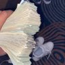RUNITUP MARCUS 的头像