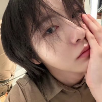 thearieses's profile picture