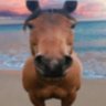 Profilbild von Axdiophile !