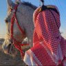ياسر 的头像