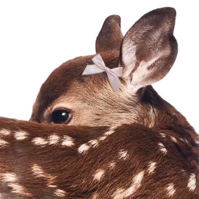 doeincrisis's profile picture