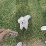 Zesong Chen profil fotoğrafı