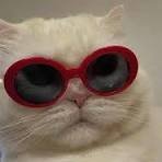 91xiancchigua's profile picture